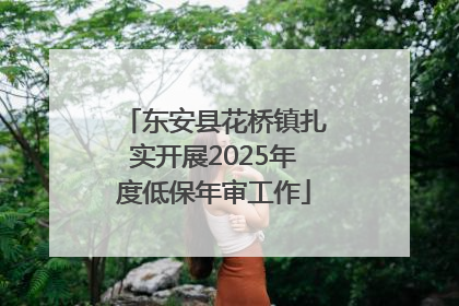 东安县花桥镇扎实开展2025年度低保年审工作