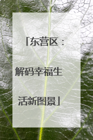 东营区：解码幸福生活新图景