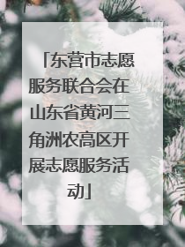 东营市志愿服务联合会在山东省黄河三角洲农高区开展志愿服务活动