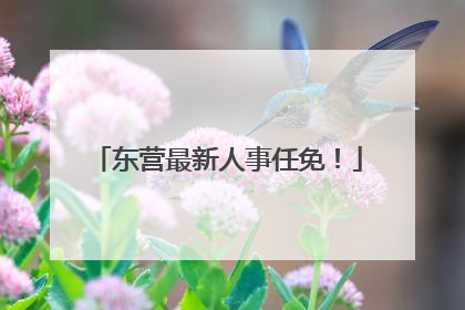 东营最新人事任免！