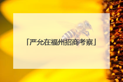 严允在福州招商考察