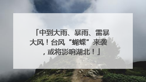 中到大雨、暴雨、雷暴大风！台风“蝴蝶”来袭，或将影响湖北！