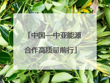 中国—中亚能源合作高质量前行