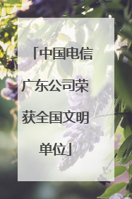 中国电信广东公司荣获全国文明单位