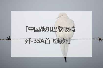 中国战机巴黎吸睛 歼-35A首飞海外
