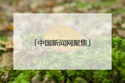 中国新闻网聚焦