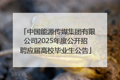 中国能源传媒集团有限公司2025年度公开招聘应届高校毕业生公告