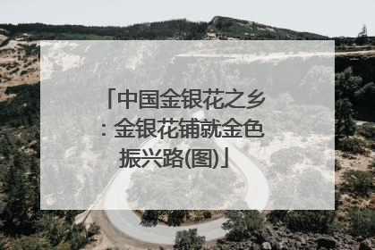 中国金银花之乡：金银花铺就金色振兴路(图)