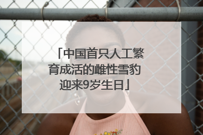 中国首只人工繁育成活的雌性雪豹迎来9岁生日