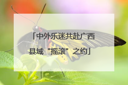 中外乐迷共赴广西县域“摇滚”之约