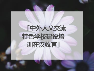 中外人文交流特色学校建设培训在汉收官