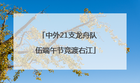中外21支龙舟队伍端午节竞渡右江