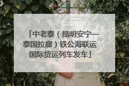 中老泰（昆明安宁—泰国拉廊）铁公海联运国际货运列车发车