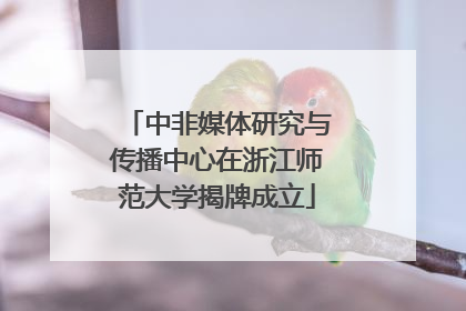 中非媒体研究与传播中心在浙江师范大学揭牌成立