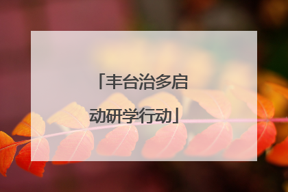 丰台治多启动研学行动