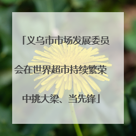 义乌市市场发展委员会在世界超市持续繁荣中挑大梁、当先锋