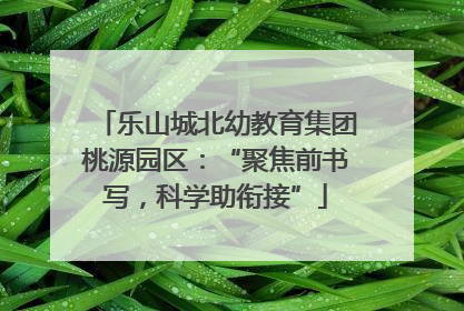 乐山城北幼教育集团桃源园区：“聚焦前书写，科学助衔接”