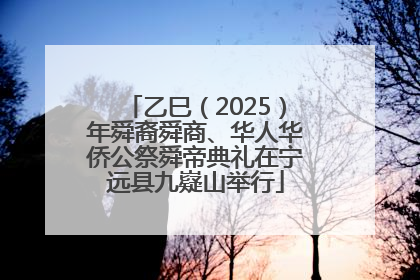 乙巳（2025）年舜裔舜商、华人华侨公祭舜帝典礼在宁远县九嶷山举行
