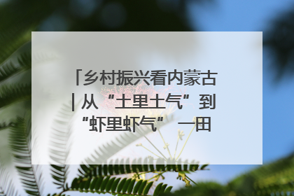 乡村振兴看内蒙古｜从“土里土气”到“虾里虾气” 一田双收模式火出圈