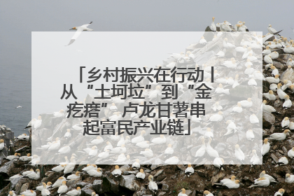 乡村振兴在行动丨从“土坷垃”到“金疙瘩” 卢龙甘薯串起富民产业链