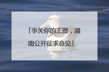 事关你的工资，湖南公开征求意见