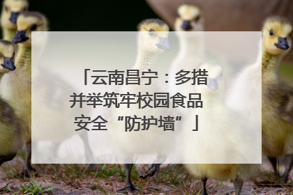 云南昌宁：多措并举筑牢校园食品安全“防护墙”