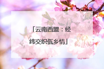 云南西盟：经纬交织佤乡情