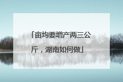 亩均要增产两三公斤，湖南如何做