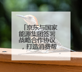 京东与国家能源集团签署战略合作协议，打造消费帮扶新模式共同助力青海乡村振兴发展