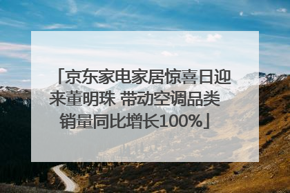 京东家电家居惊喜日迎来董明珠 带动空调品类销量同比增长100%