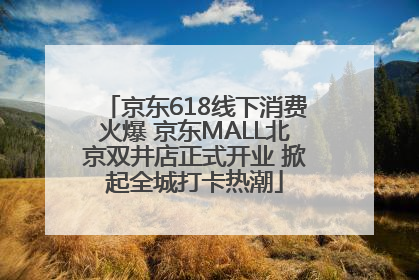京东618线下消费火爆 京东MALL北京双井店正式开业 掀起全城打卡热潮