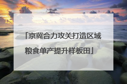 京冀合力攻关打造区域粮食单产提升样板田