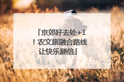 京郊好去处+1！农文旅融合路线让快乐翻倍