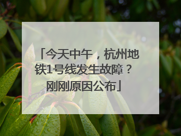 今天中午，杭州地铁1号线发生故障？刚刚原因公布
