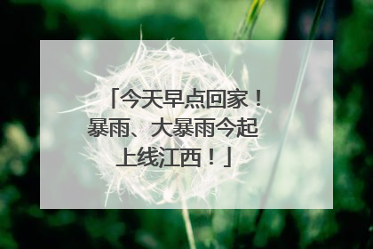 今天早点回家！暴雨、大暴雨今起上线江西！
