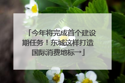 今年将完成首个建设期任务！东城这样打造国际消费地标→