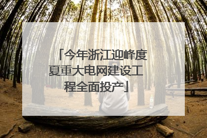 今年浙江迎峰度夏重大电网建设工程全面投产