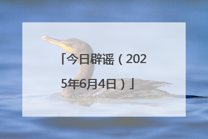 今日辟谣（2025年6月4日）