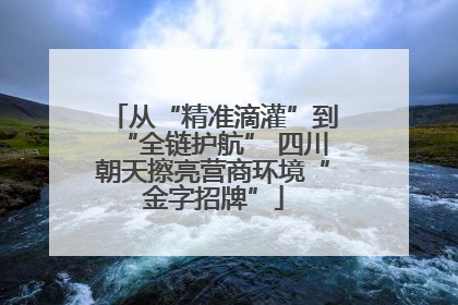 从“精准滴灌”到“全链护航” 四川朝天擦亮营商环境“金字招牌”