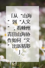 从“山海”到“人文”，看嵊州青田山海协作如何“文”出新精彩