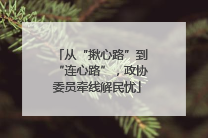 从“揪心路”到“连心路”，政协委员牵线解民忧