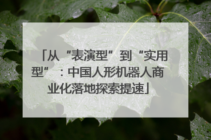 从“表演型”到“实用型”：中国人形机器人商业化落地探索提速