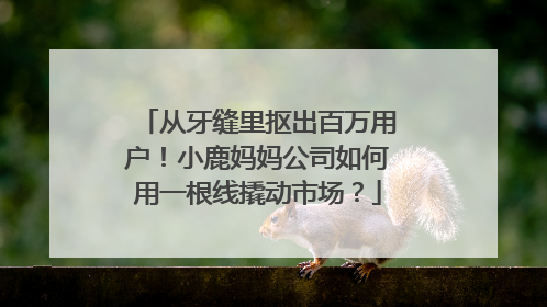 从牙缝里抠出百万用户！小鹿妈妈公司如何用一根线撬动市场？