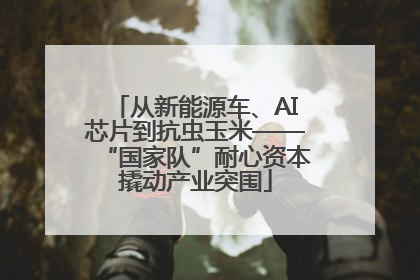从新能源车、AI芯片到抗虫玉米——“国家队”耐心资本撬动产业突围
