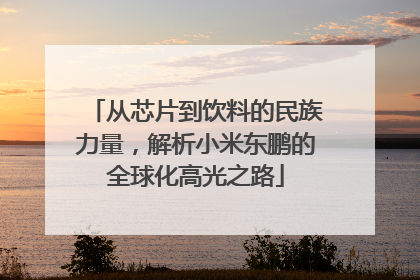 从芯片到饮料的民族力量，解析小米东鹏的全球化高光之路