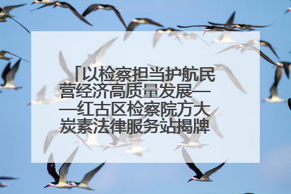 以检察担当护航民营经济高质量发展——红古区检察院方大炭素法律服务站揭牌彰显法治护航深度