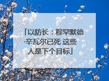 以防长：穆罕默德·辛瓦尔已死 这些人是下个目标