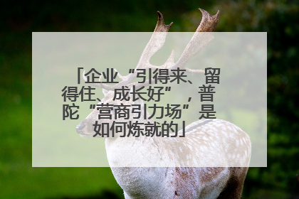 企业“引得来、留得住、成长好”，普陀“营商引力场”是如何炼就的
