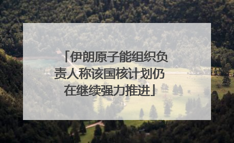 伊朗原子能组织负责人称该国核计划仍在继续强力推进