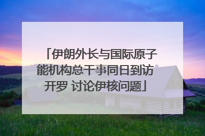 伊朗外长与国际原子能机构总干事同日到访开罗 讨论伊核问题